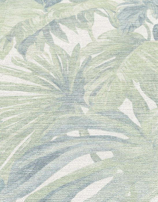 Misty Monstera