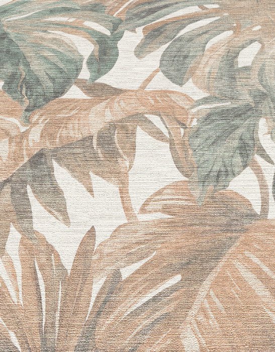 Misty Monstera