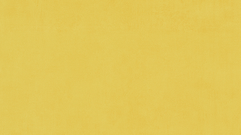 733904 ER