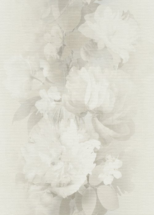 Lucent Bloom
