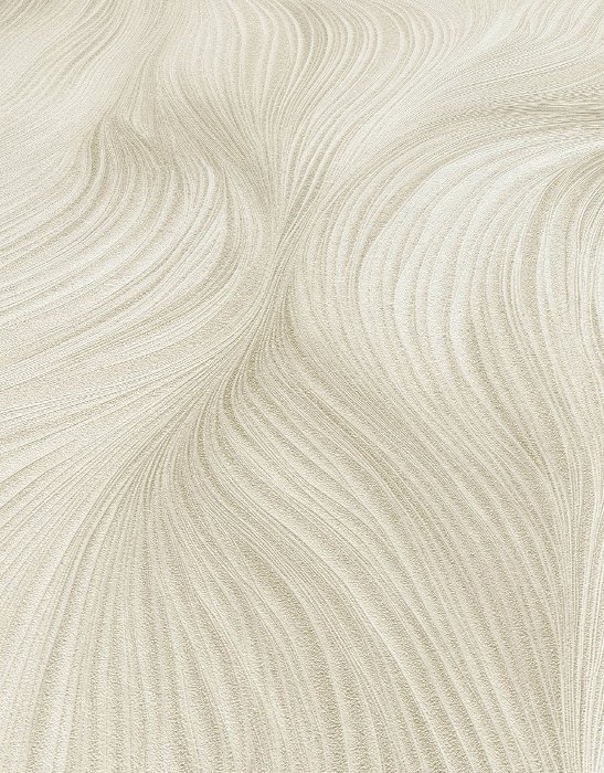 Waves of Light