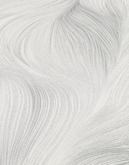 Waves of Light