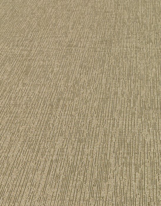 Soft Loom