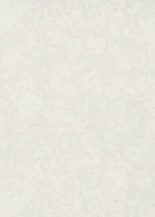 1043501 ER