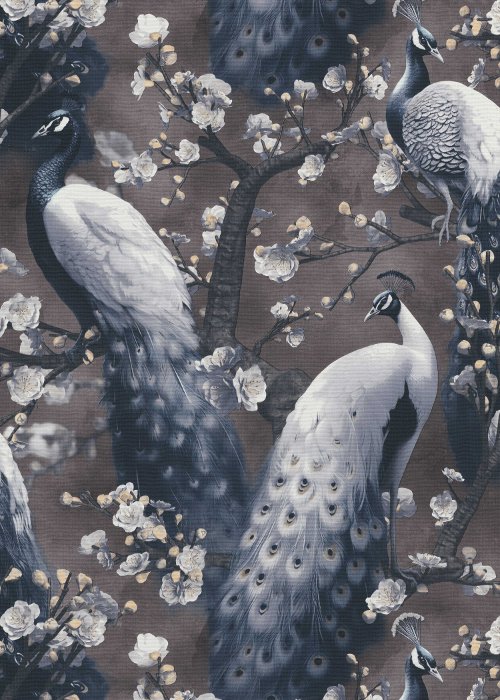 Pavo