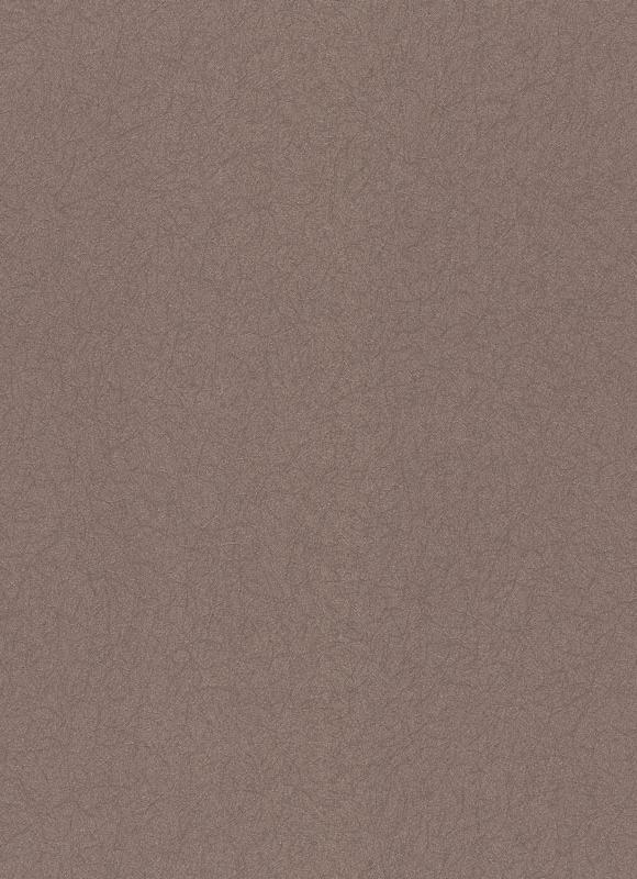 528737 ER