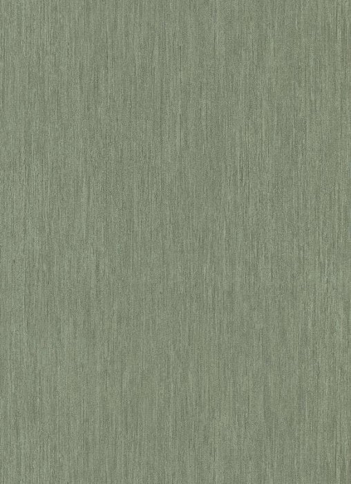 1003407 ER
