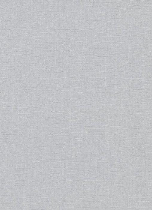 1010810 ER