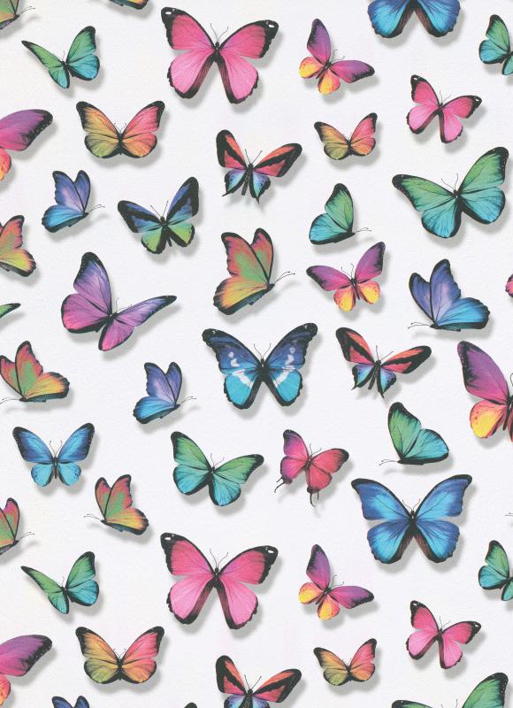 Lovely Wings