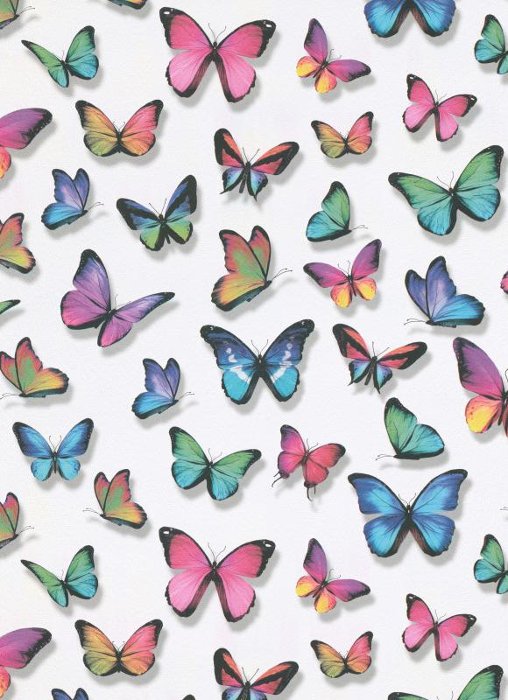 Lovely Wings