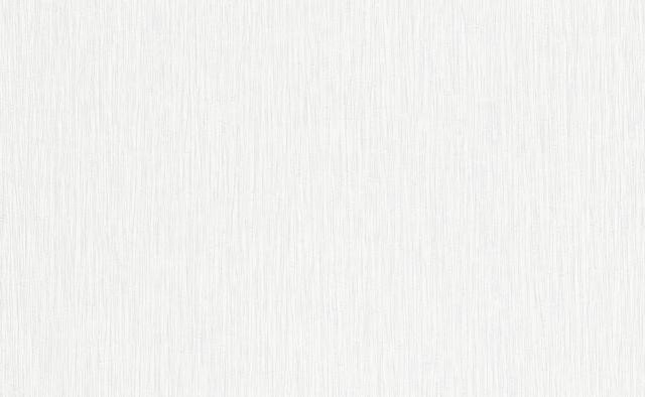 1210931 ER
