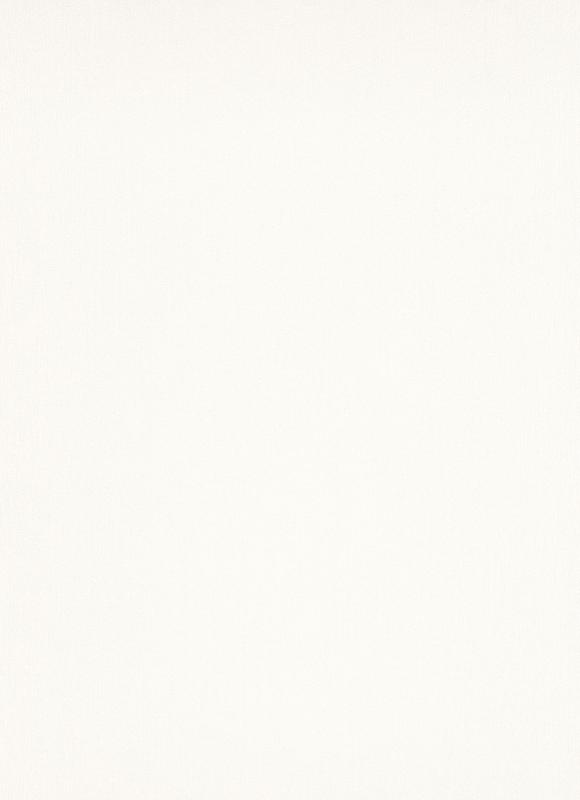 Plain One by Elle