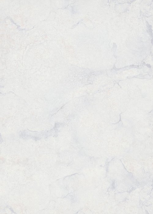 1036031 ER