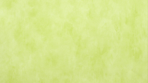 728207 ER