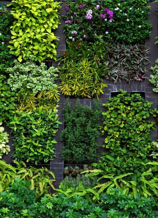Hanging Garden