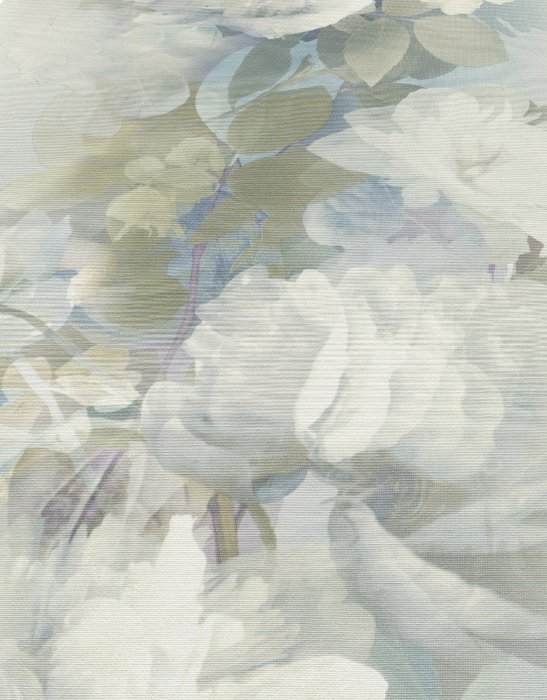Lucent Bloom