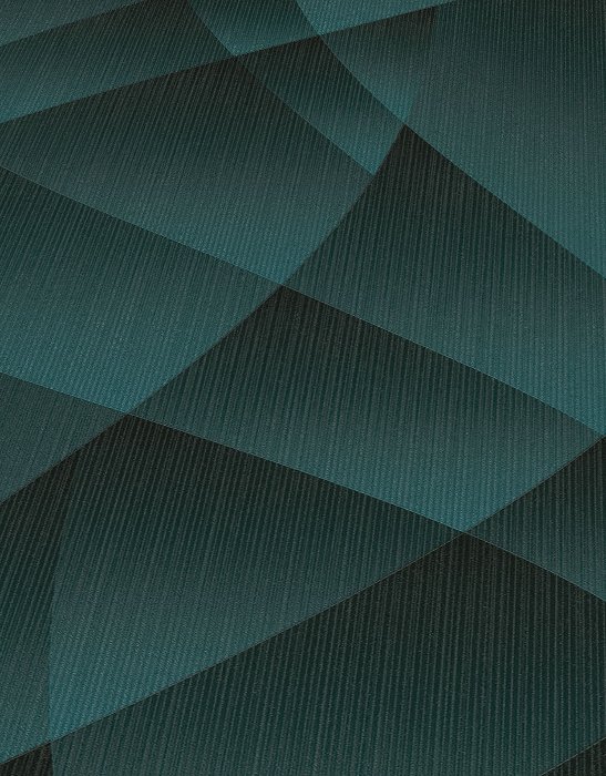 1218418 ER