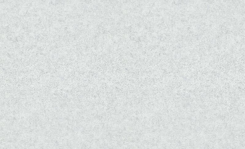 1218731 ER