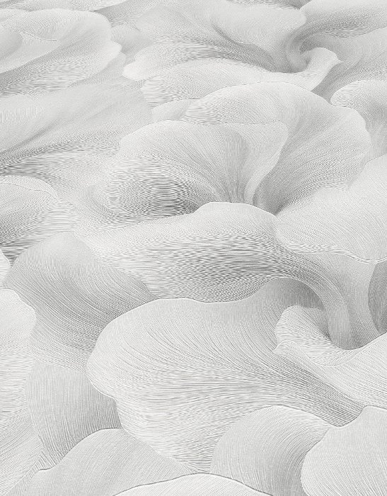 Floral Glow