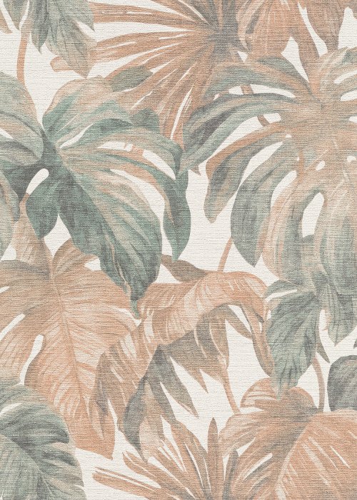 Misty Monstera