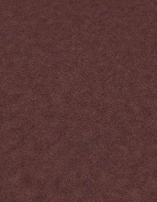 Coreline