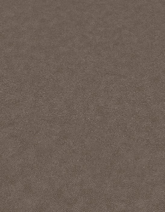 Coreline