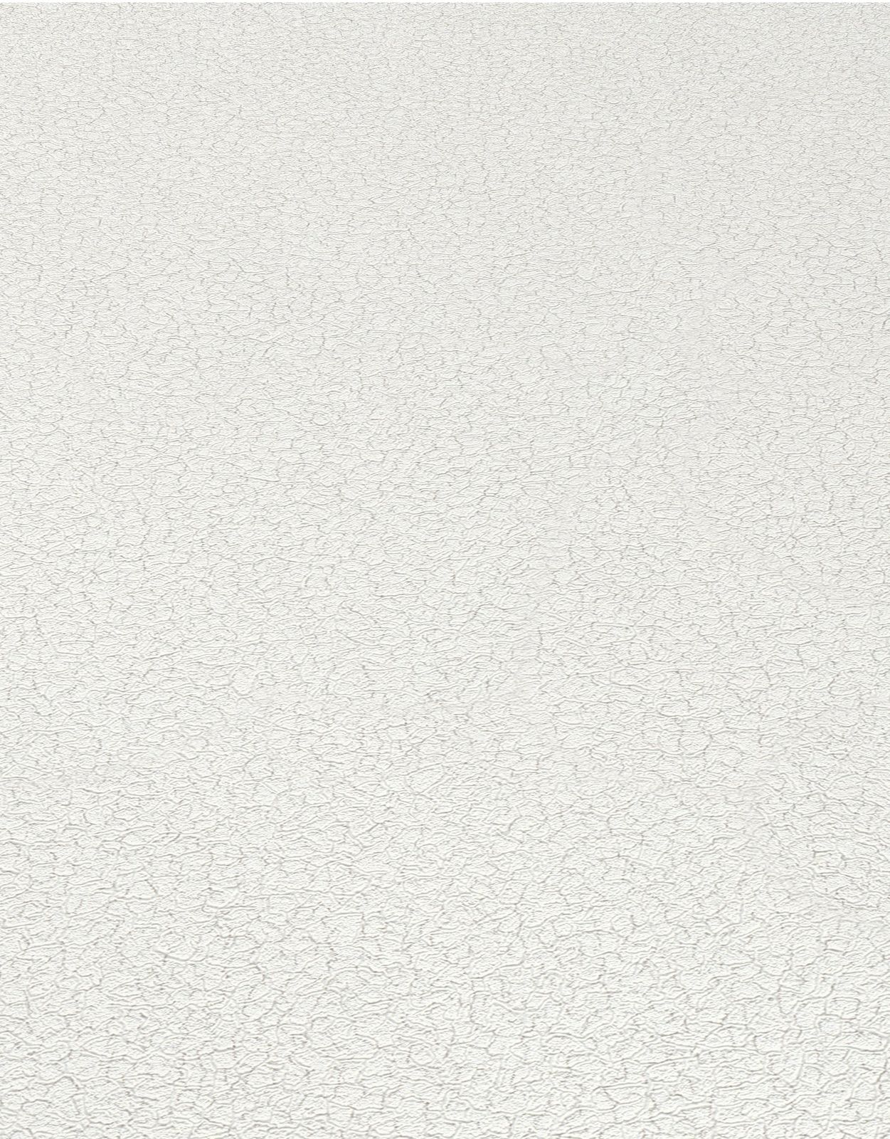 0251450 ER
