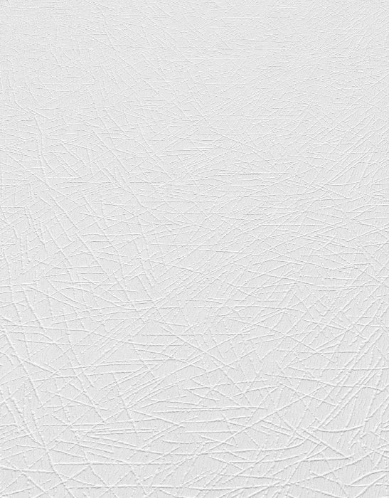 Veil of Lines