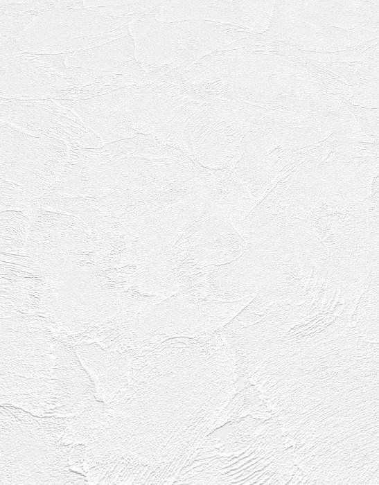 Plaster Flow