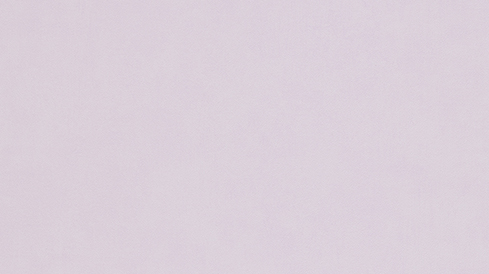 733905 ER