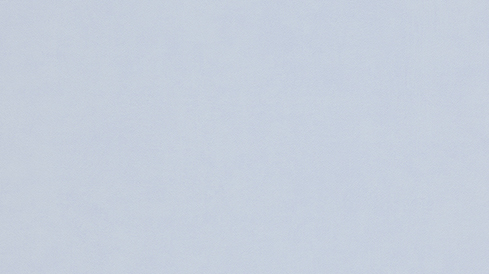 733943 ER