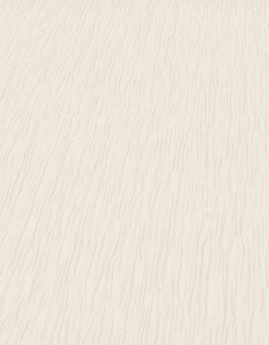 1217905 ER
