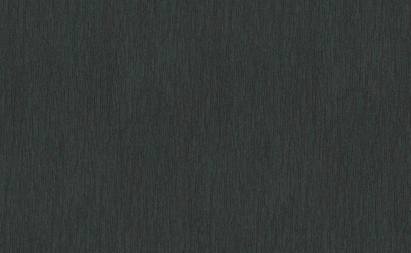 1217915 ER