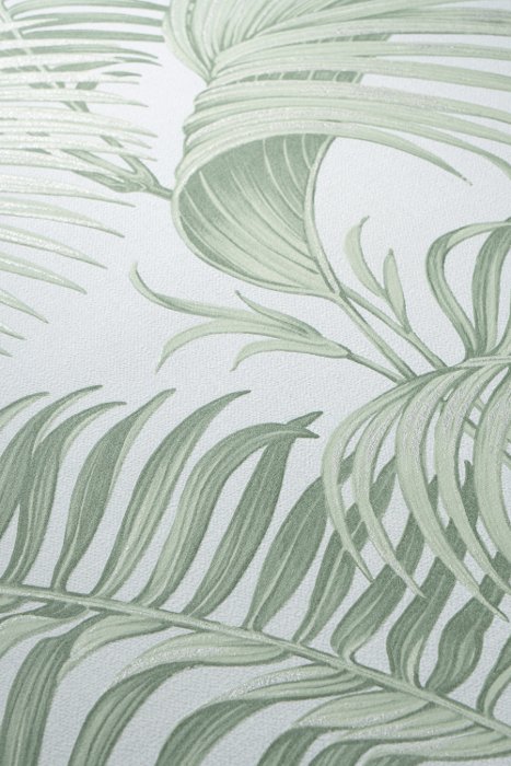 Tropic