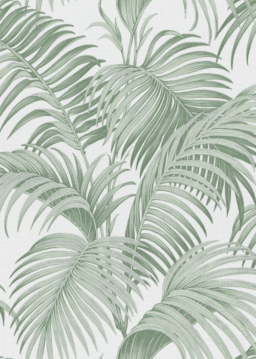 Tropic