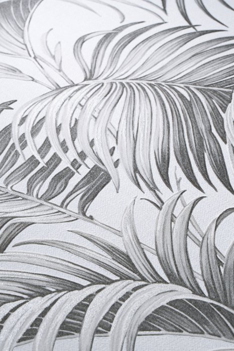 Tropic