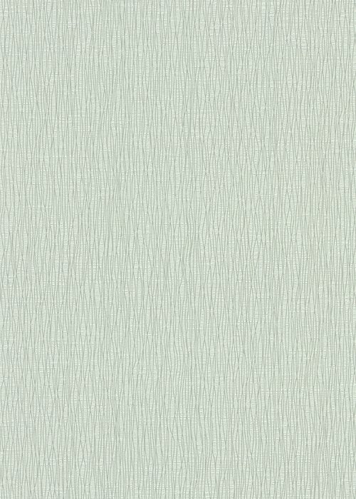 Linear Texture
